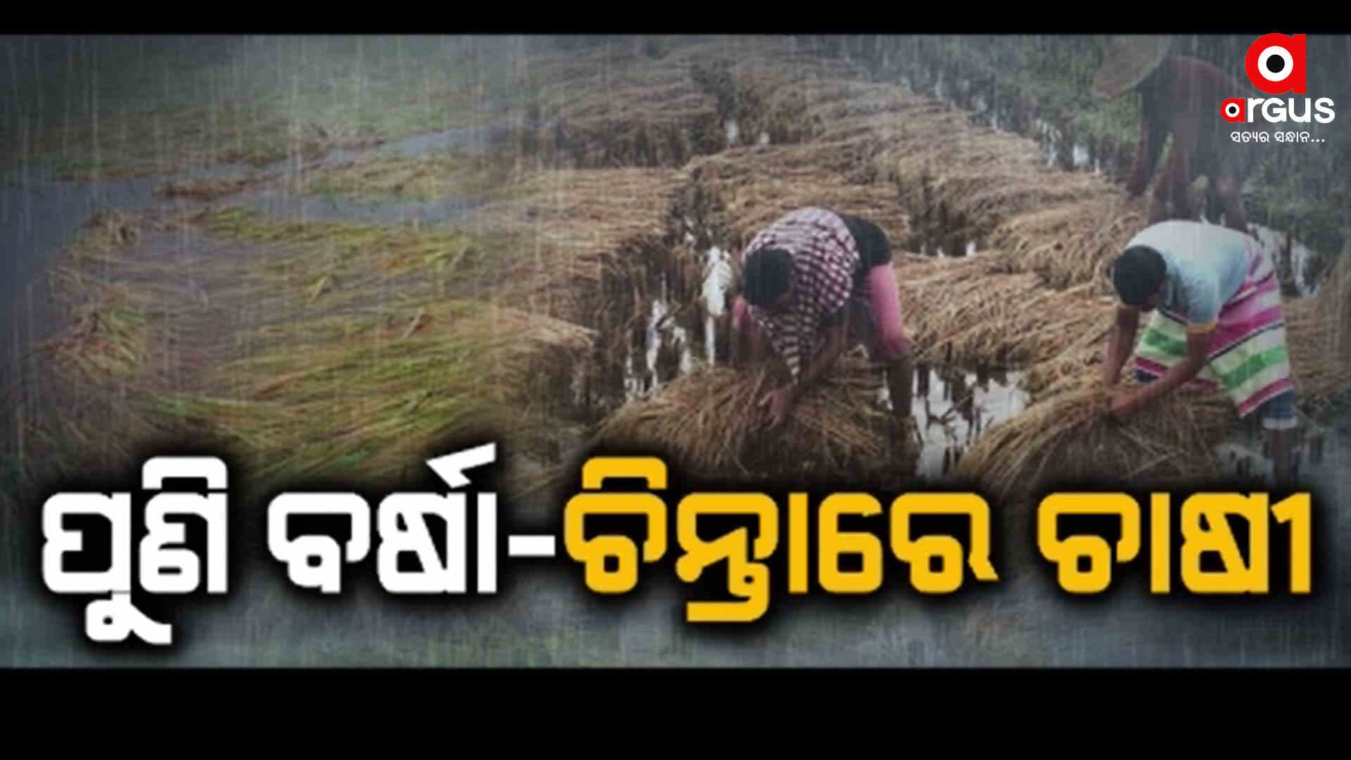 ଆସନ୍ତାକାଲିଠୁ ରାଜ୍ୟରେ ପୁଣି ହେବ ବର୍ଷା