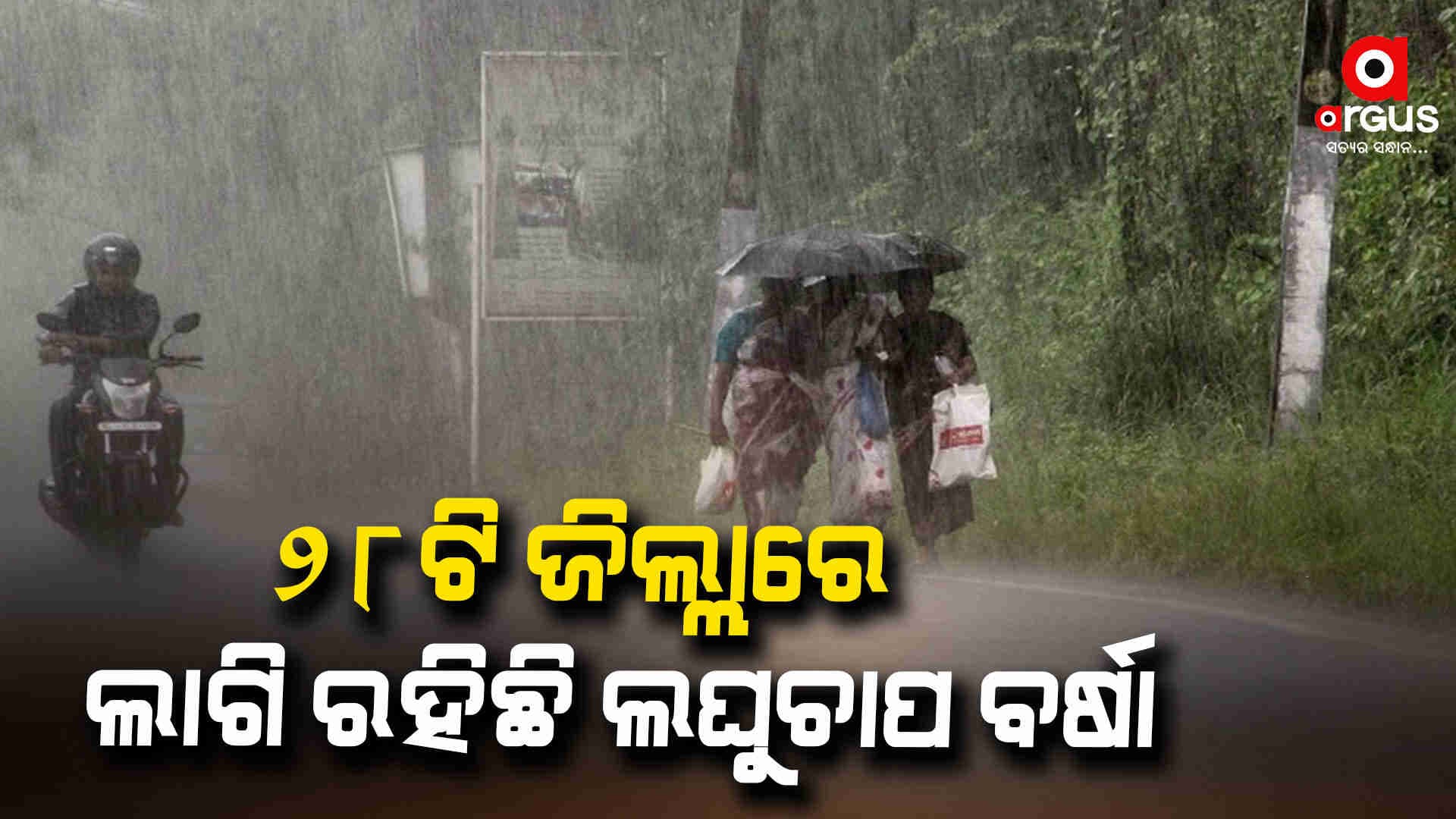 ହଜାର ହଜାର ହେକ୍ଟର ଜମିରେ ଭିଜୁଛି ଧାନ