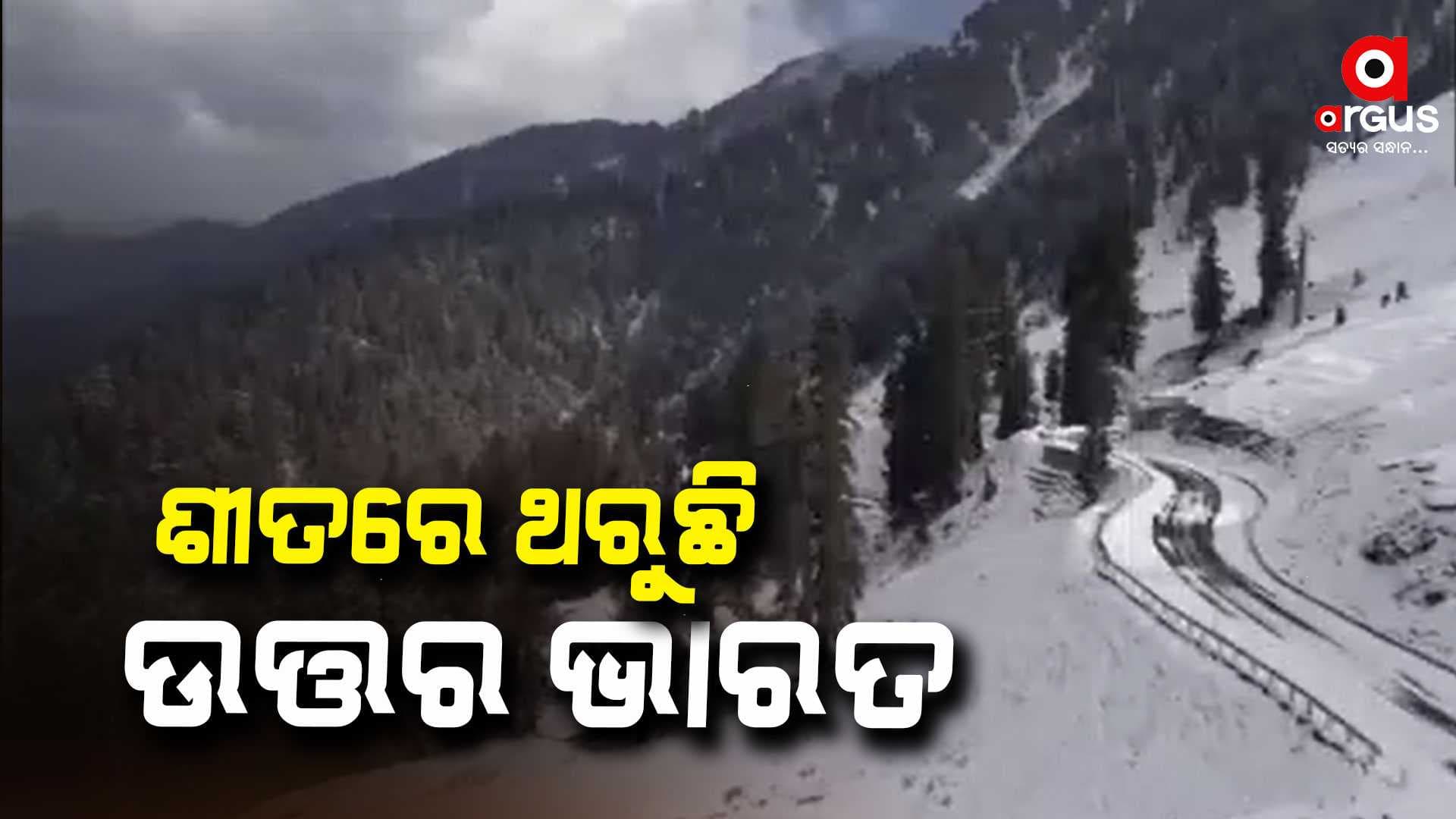 ପ୍ରବଳ ତୁଷାରପାତ; ଶୀତରେ ଥରୁଛି ଉତ୍ତର ଭାରତ