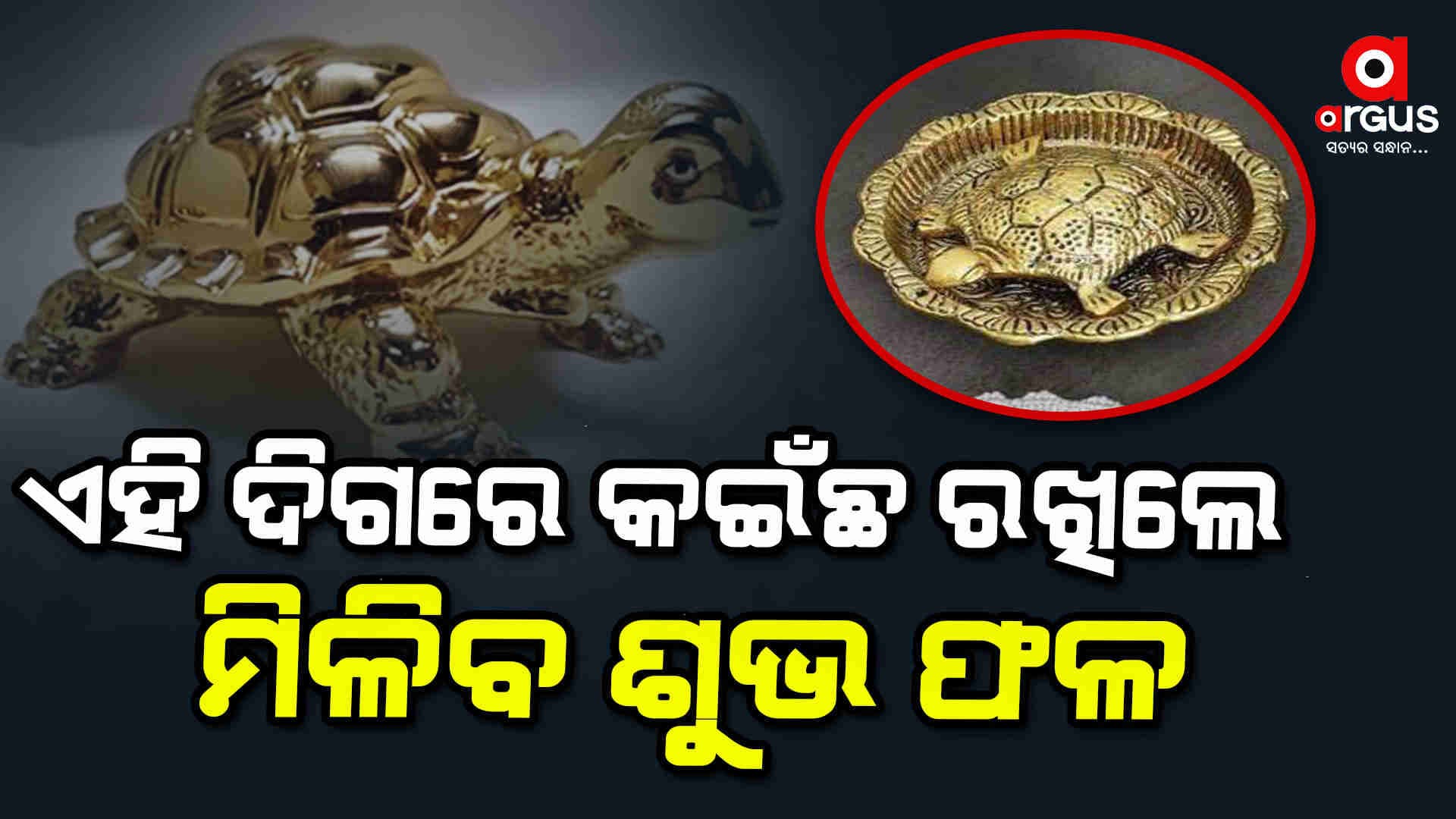 ଆର୍ଥକ ସମସ୍ୟା ଦୂର କରିବ ପିତ୍ତଳ କଇଁଛ