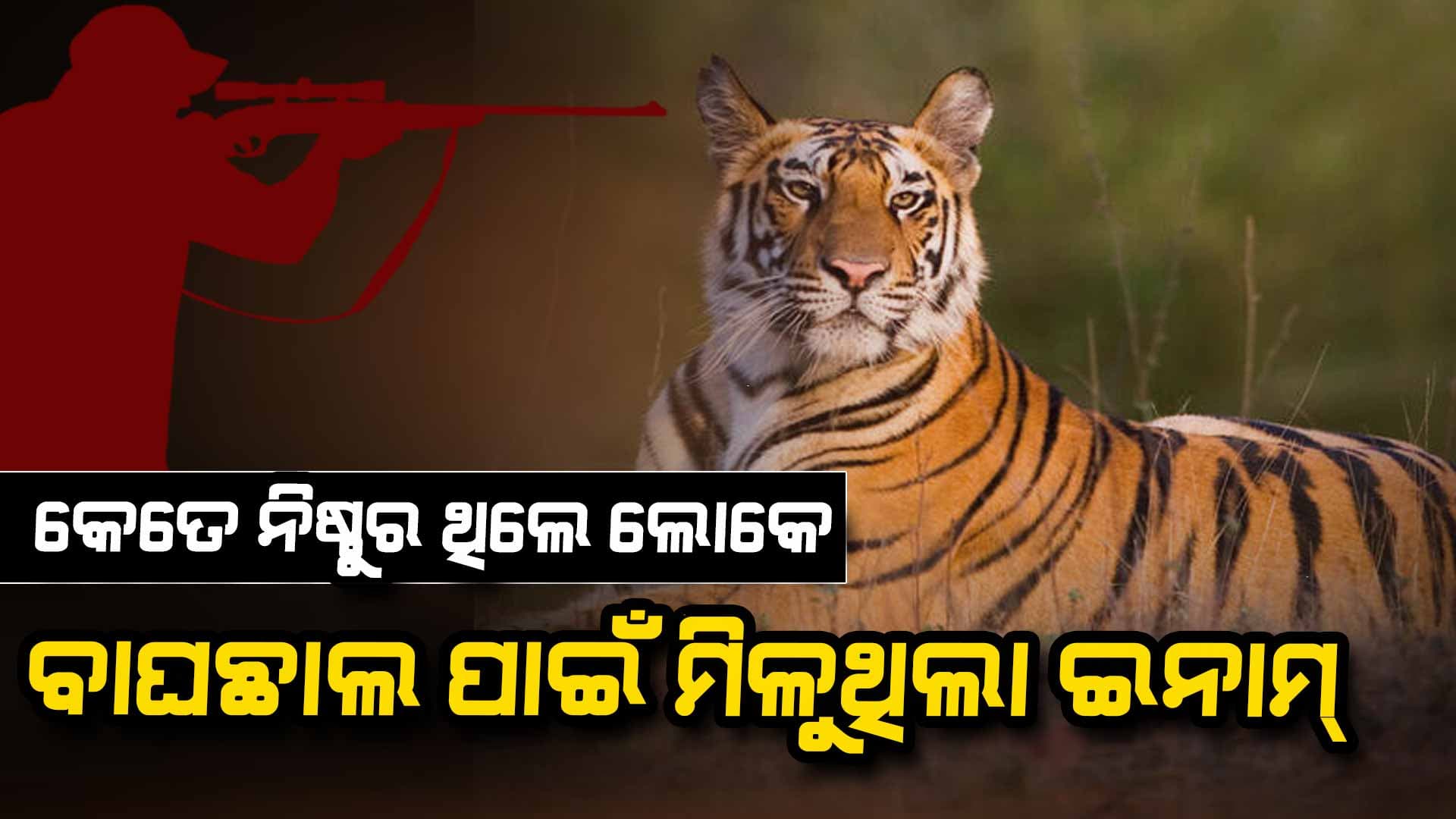 ବନ୍ୟଜନ୍ତୁ ଶୀକାର ପାଇଁ କ'ଣ ରହିଛି ଦଣ୍ଡ ବ୍ୟବସ୍ଥା ?