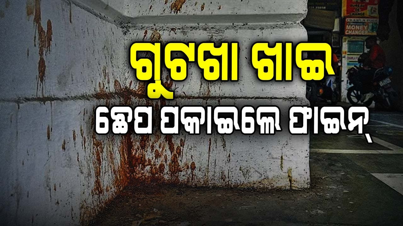 ଏଠିସେଠି ଛେପ ପକାଇଲେ ଜରିମାନା