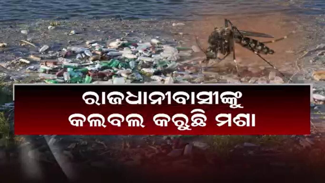 ମଶା ପ୍ରକୋପରେ ତ୍ରାହି ତ୍ରାହି ଡାକିଲେଣି ସ୍ମାର୍ଟସିଟିବାସୀ