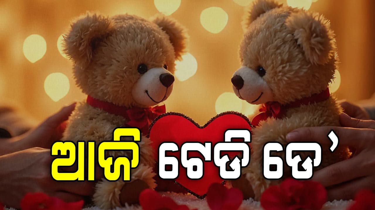 ଝିଅମାନେ ଏହି ୩ ରଙ୍ଗର ଟେଡି ପସନ୍ଦ କରନ୍ତି