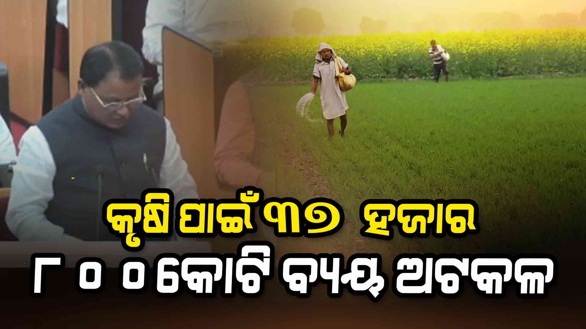Budget 2025-26; ମତ୍ସ୍ୟ ଓ ପଶୁପାଳନ ପାଇଁ ୧୯୦୯ କୋଟି