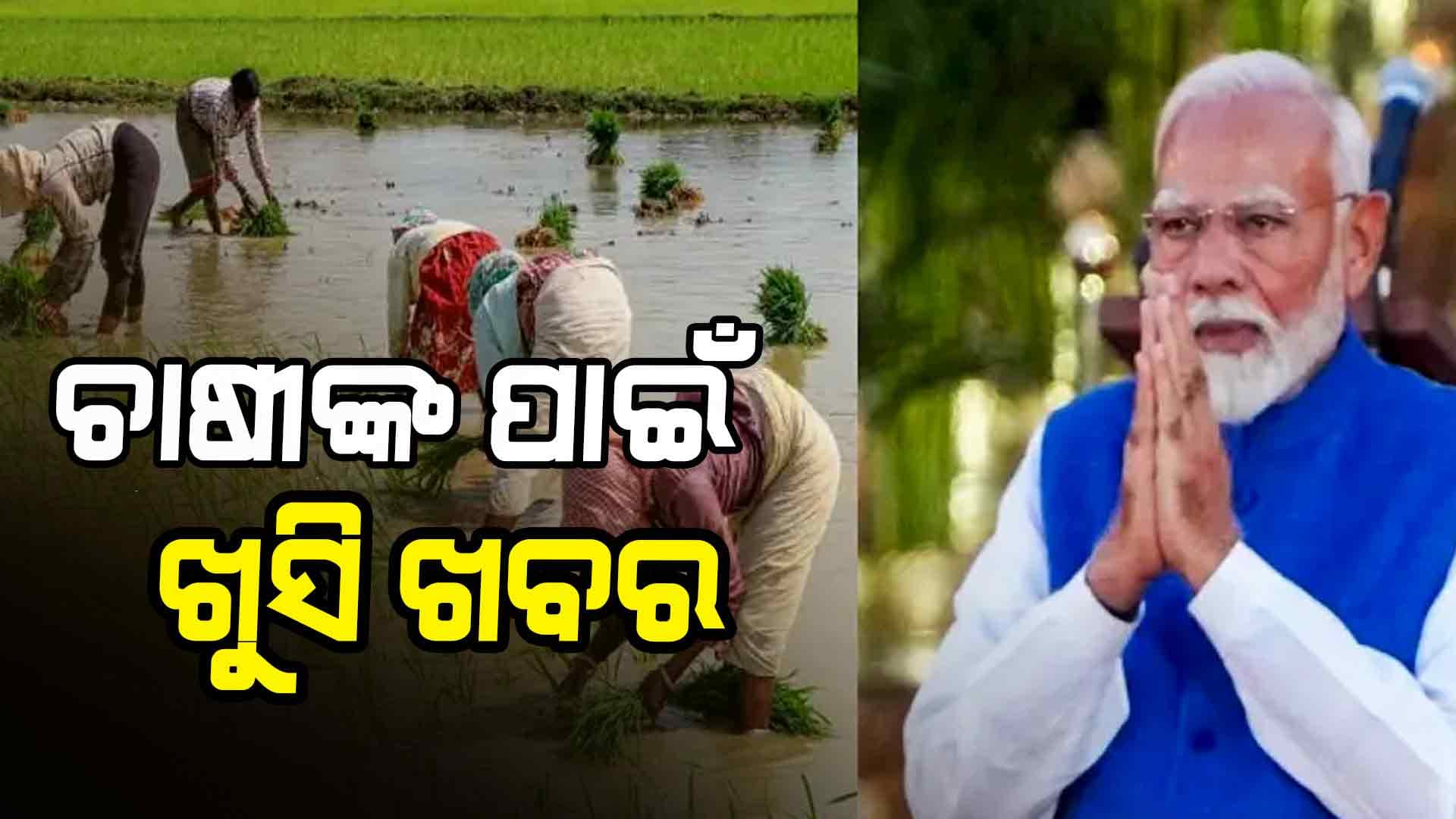 ଚାଷୀଙ୍କୁ ବଡ଼ ଉପହାର: ଧାନ ଓ ଗହମ ଉପରେ ମିଳିବ ଅତିରିକ୍ତ ଫାଇଦା