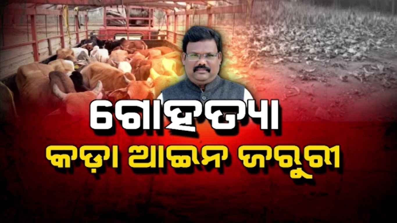 ପୂର୍ବ ସରକାରରେ ଗୋ ମାଫିଆଙ୍କୁ ମିଳୁଥିଲା ପ୍ରୋତ୍ସାହନ: ଗୋପାଳନ ମନ୍ତ୍ରୀ