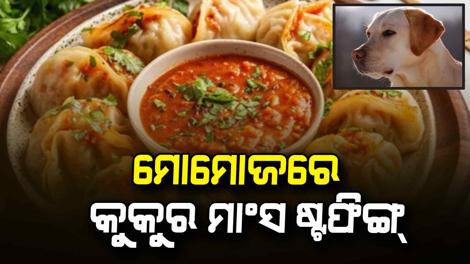 ମୋମୋଜ ଫ୍ୟାକ୍ଟ୍ରିରୁ ମିଳିଲା ଏପରି କିଛି ଆପଣ ବି ଶୁଣିଲେ ହୋସ ଉଡ଼ିଯିବ