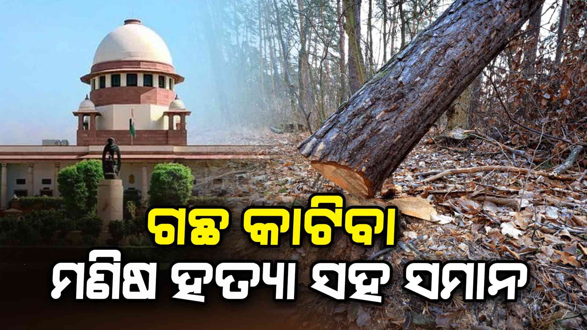 ଗୋଟିଏ ଗଛ କଟା ପାଇଁ ୧ ଲକ୍ଷ ଜରିମାନା