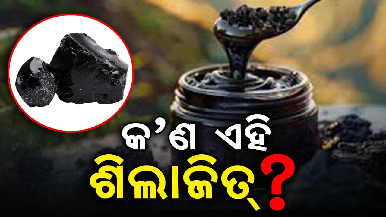 ଅସଲି ଏବଂ ନକଲି ଶିଲାଜିତ୍ କେମିତି ଜାଣିବେ ?