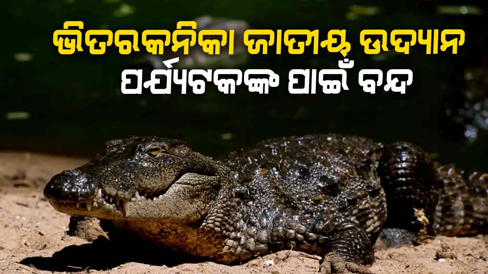 ମେ’୧ ରୁ ଜୁଲାଇ ୩୧ ପର୍ଯ୍ୟନ୍ତ ଭିତରକନିକା ବନ୍ଦ