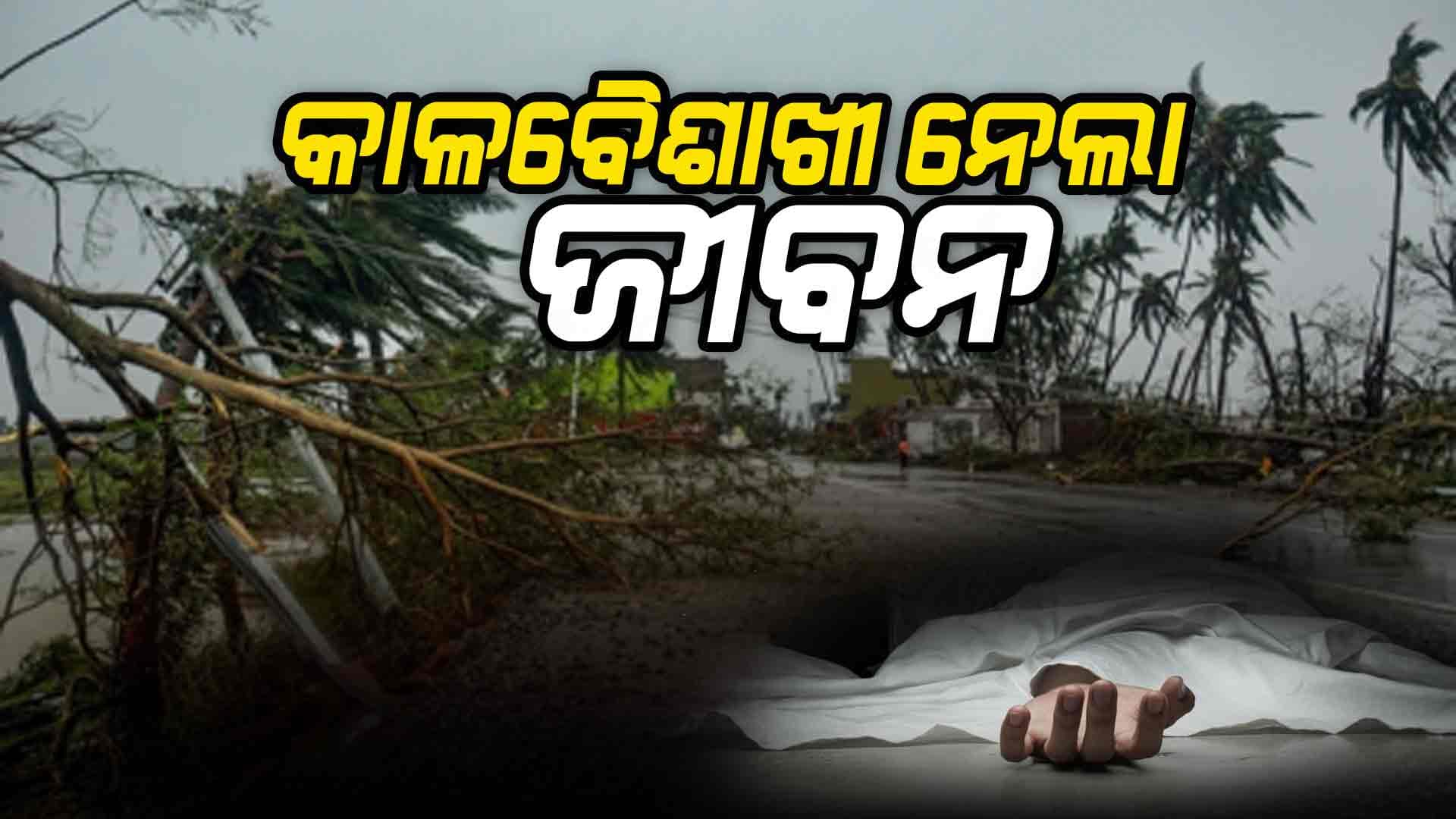 କାଳବୈଶାଖୀ ପ୍ରଭାବରେ ଗଛ ପଡ଼ି ଚାଲିଗଲା ମହିଳାଙ୍କ ଜୀବନ