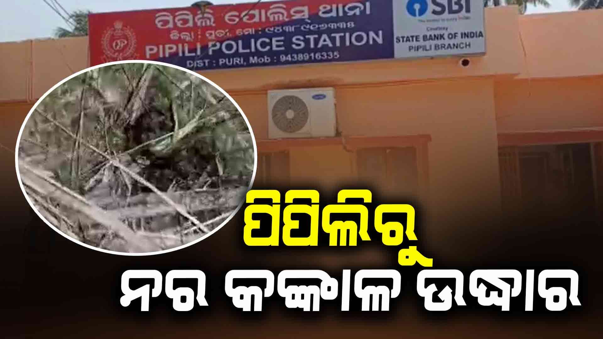 ପୁରୀ ଜିଲ୍ଲା ପିପିଲିରୁ ନର କଙ୍କାଳ ଉଦ୍ଧାର