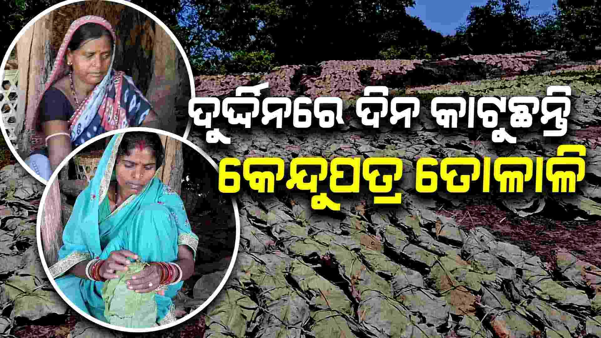 କେନ୍ଦୁପତ୍ର ତୋଳାଳିଙ୍କୁ ମିଳୁନି ଉପଯୁକ୍ତ ପ୍ରୋତ୍ସାହନ