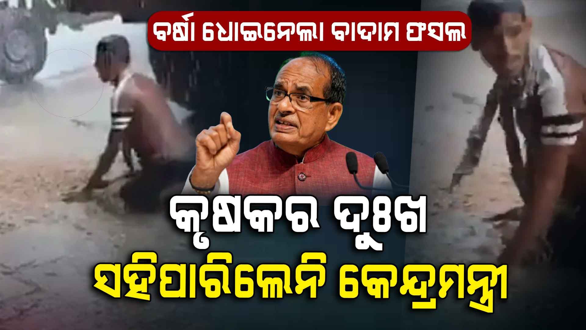 ବର୍ଷା ପାଣିରେ ଧୋଇ ହୋଇଗଲା କୃଷକ ଭାଇର ବାଦାମ ଫସଲ: ସହିପାରିଲେନି କେନ୍ଦ୍ରମନ୍ତ୍ରୀ