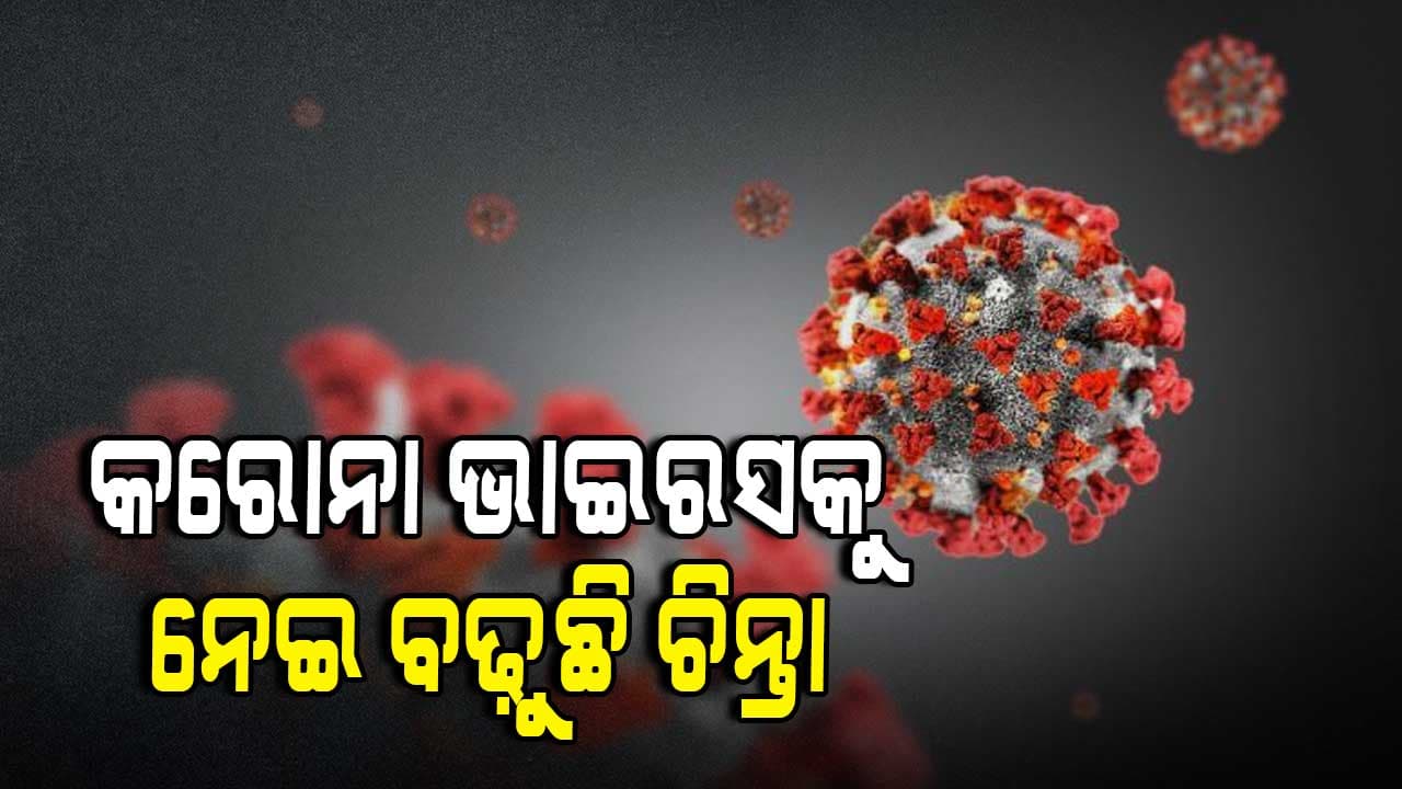 ନୂଆ ଭାଇରସ୍ କେତେ ବିପଦ ?