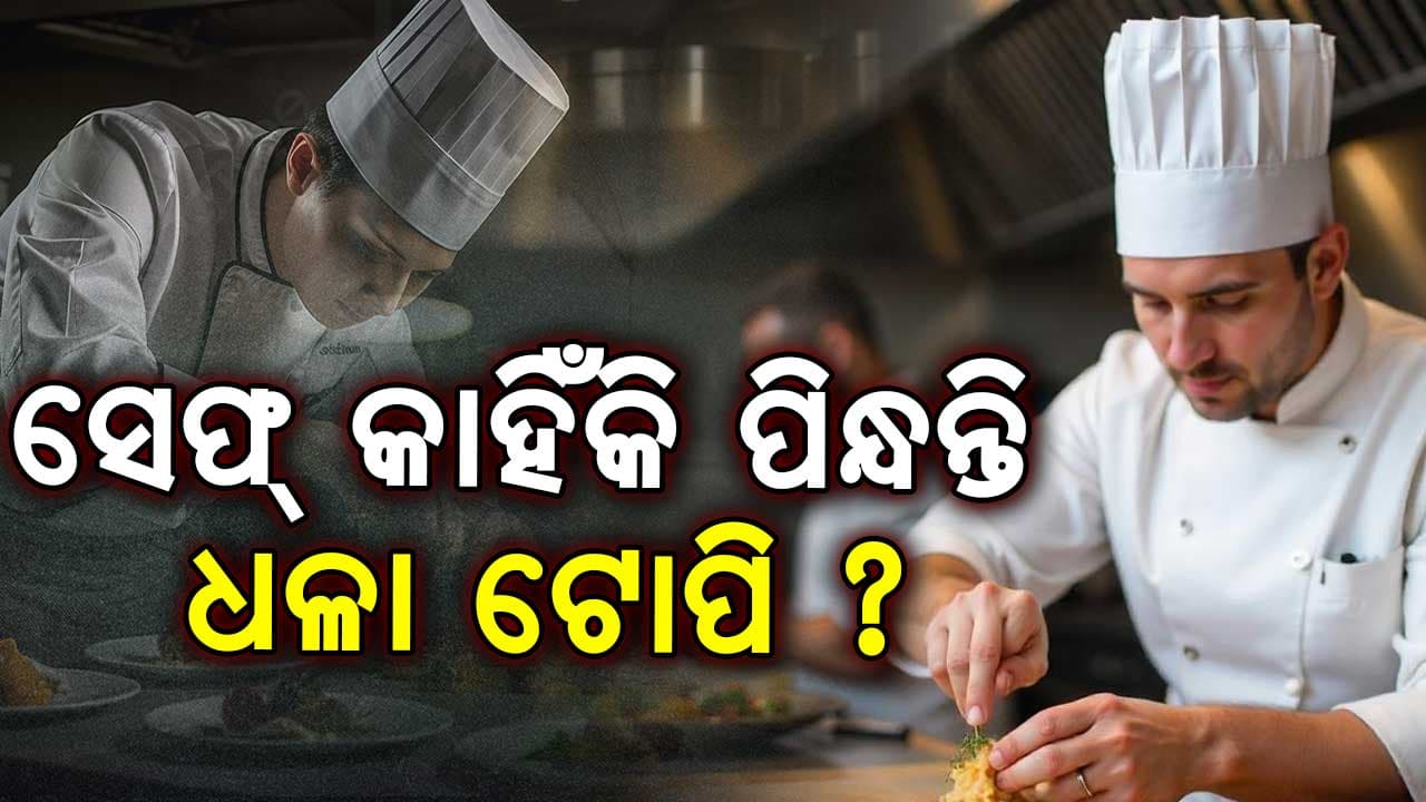 ସେଫ୍ମାନଙ୍କ ଟୋପିର ରଙ୍ଗ ଧଳା ଏବଂ ଲମ୍ବା କାହିଁକି, ଜାଣନ୍ତୁ କାରଣ....