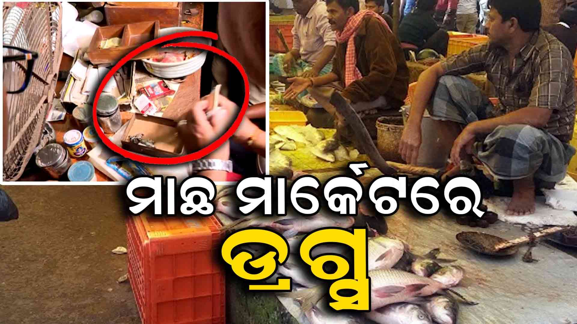 ମାଛ ମାର୍କେଟରୁ ମିଳିଲା ପୁଳା ପୁଳା ଗଞ୍ଜେଇ