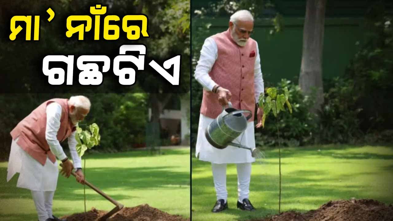 ଏକ ପେଡ ମାଆ କେ ନାମ୍ 2.0 ନାରା ଦେଇ ନିଜେ ବୃକ୍ଷରୋପଣ କରିଛନ୍ତି ମୋଦି