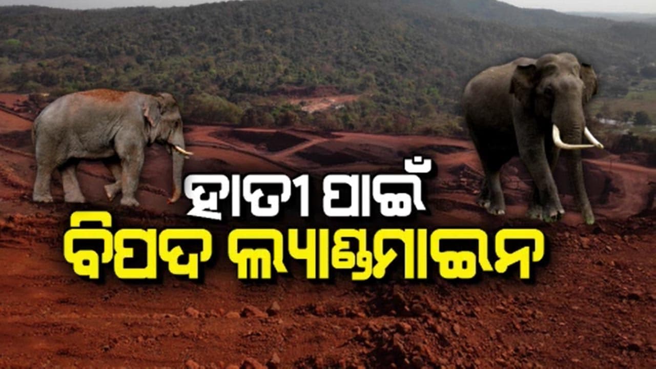 ଲ୍ୟାଣ୍ଡମାଇନ ଯୋଗୁଁ ହାତୀଙ୍କ ପ୍ରତି ବଢୁଛି ବିପଦ