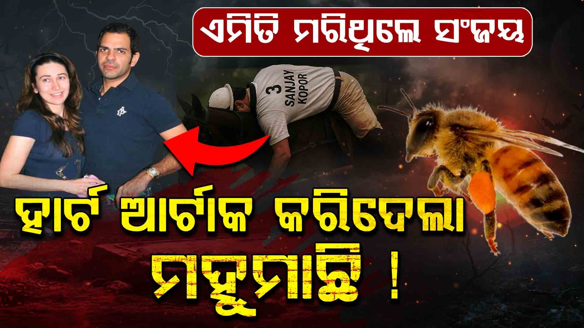 ମହୁମାଛି ବି ଏମିତି ଜୀବନ ନିଏ