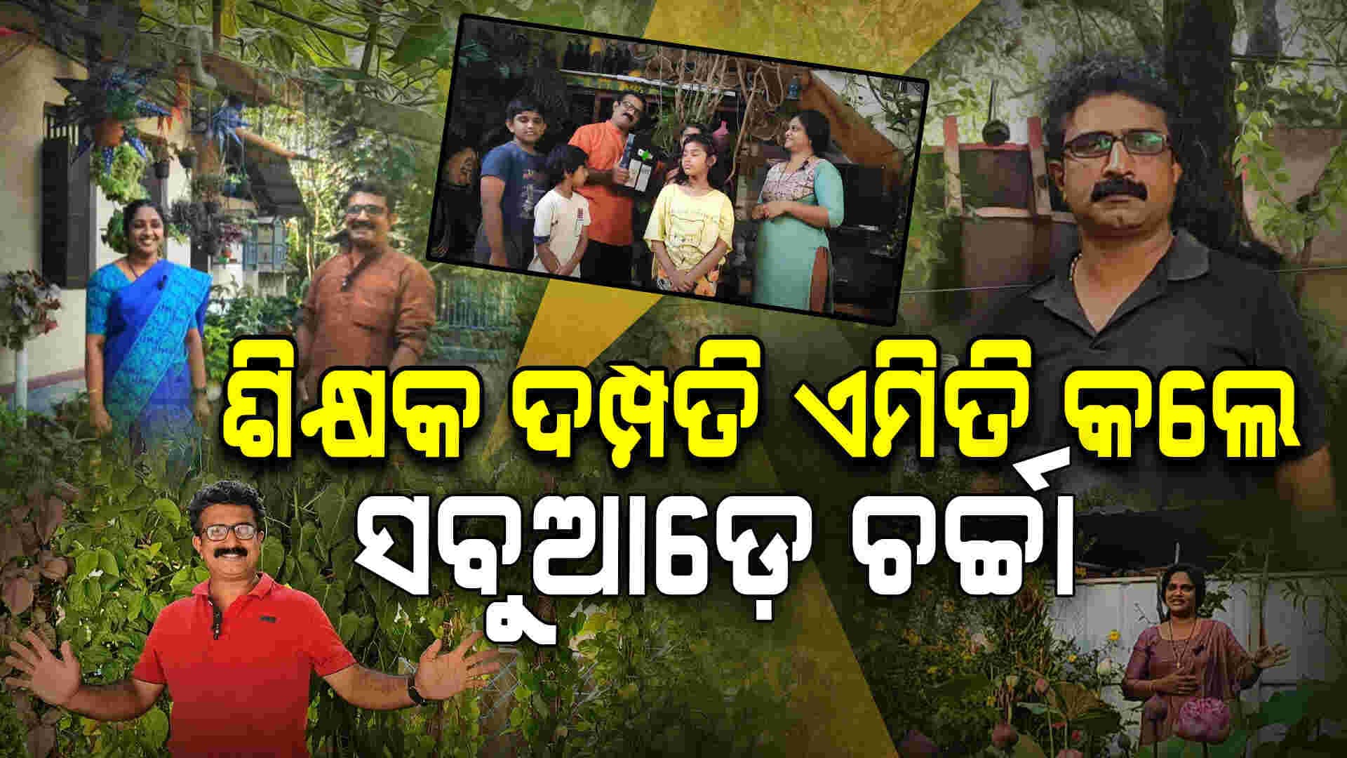 ଶିକ୍ଷକ ଦମ୍ପତି କରିଦେଲେ ସବୁଜ ଜଙ୍ଗଲ