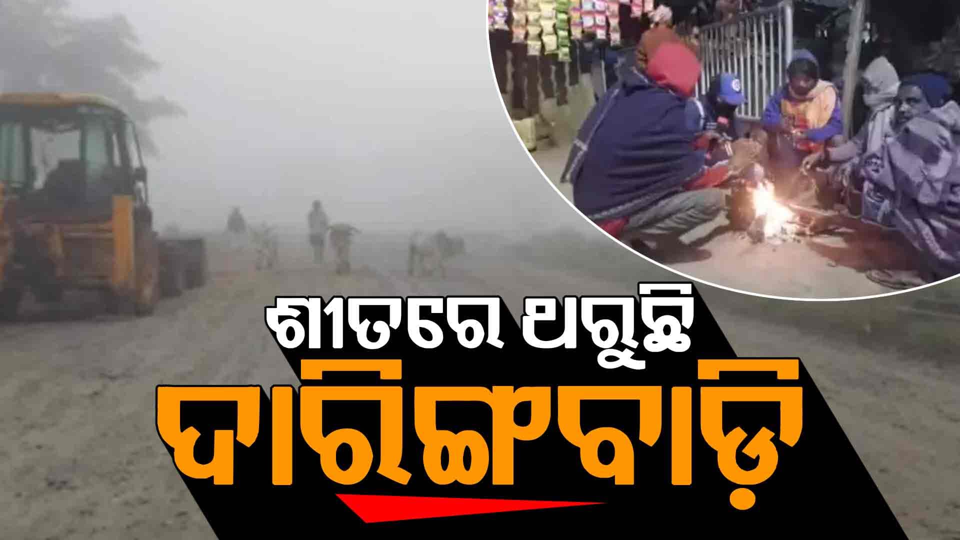 ଫେରିଲା ଶୀତ, ଥରୁଛି ଦାରିଙ୍ଗବାଡ଼ି...