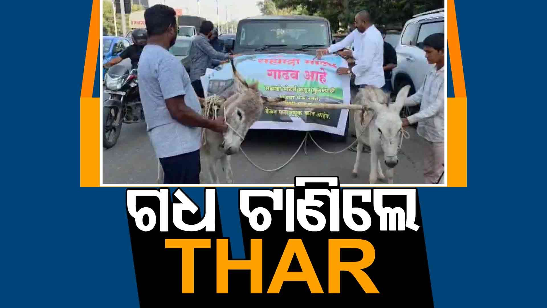 କି ଅବସ୍ଥା ! ସବୁଠୁ ଚର୍ଚ୍ଚିତ ଆଉ ଦମ୍ଦାର THAR ଗାଡ଼ିକୁ ବୋହି ନେଉଛି ଗଧ, ଦେଖନ୍ତୁ ଭିଡିଓ...