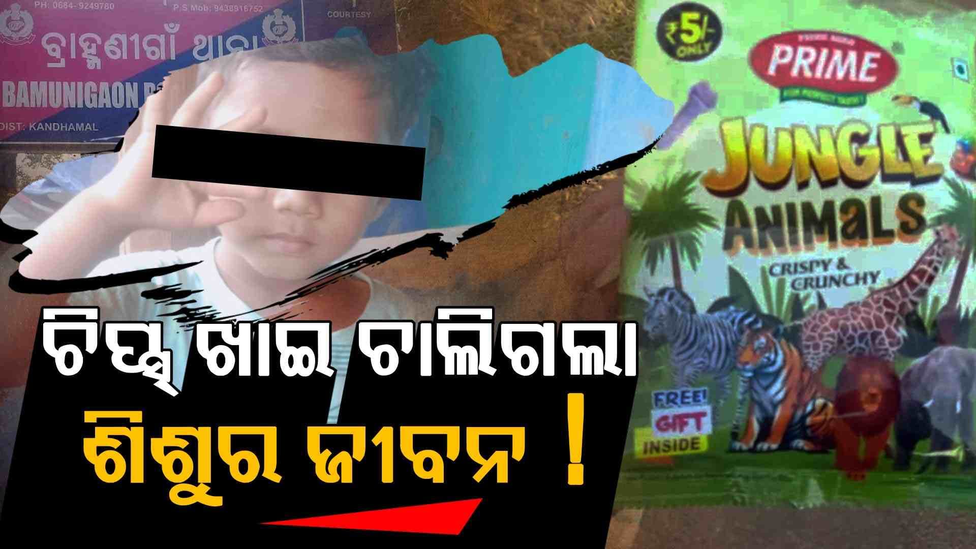 ଚିପ୍ସ୍ ନେଇଗଲା ୪ ବର୍ଷ ଶିଶୁର ଜୀବନ