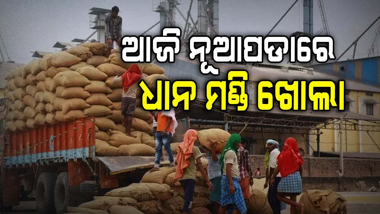 ଖୋଲିବ ଧାନ ମଣ୍ଡି, ଆରମ୍ଭ ହେବ ଧାନ କିଣା