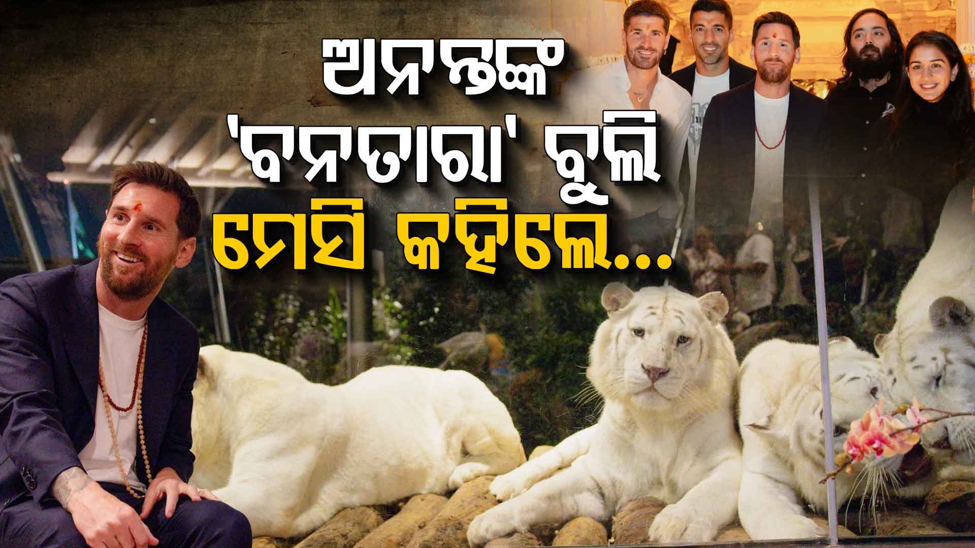 ଅନନ୍ତ ଅମ୍ବାନୀଙ୍କ ସହ ‘ବନତାରା’ରେ ମେସି, ସିଂହ ଚିତାବାଘ ଦେଖି...