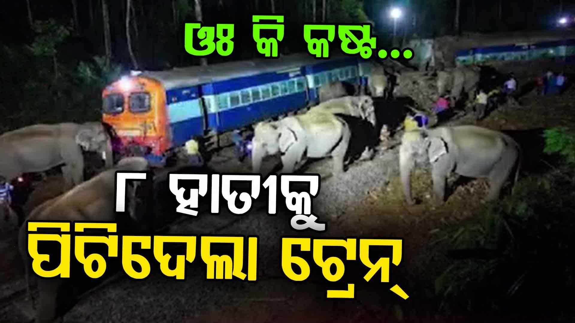 ଟ୍ରେନ ଧକ୍କାରେ ଗଲା ୮ ଗଜରାଜଙ୍କ ଜୀବନ