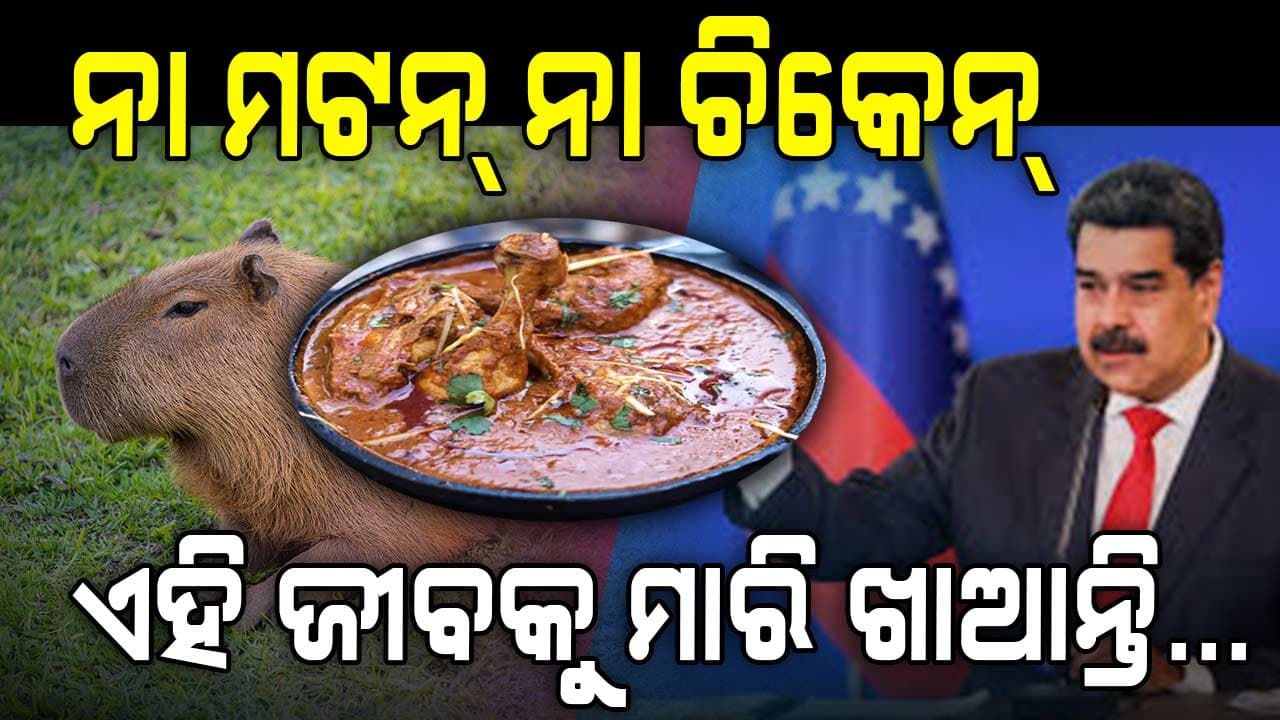 ଏହି ଜୀବକୁ ମାରି ଖାଆନ୍ତି ଭେନେଜୁଏଲାର ସୈନିକ, କାରଣ ଜାଣିଲେ ଉଡ଼ିଯିବ ହୋସ୍