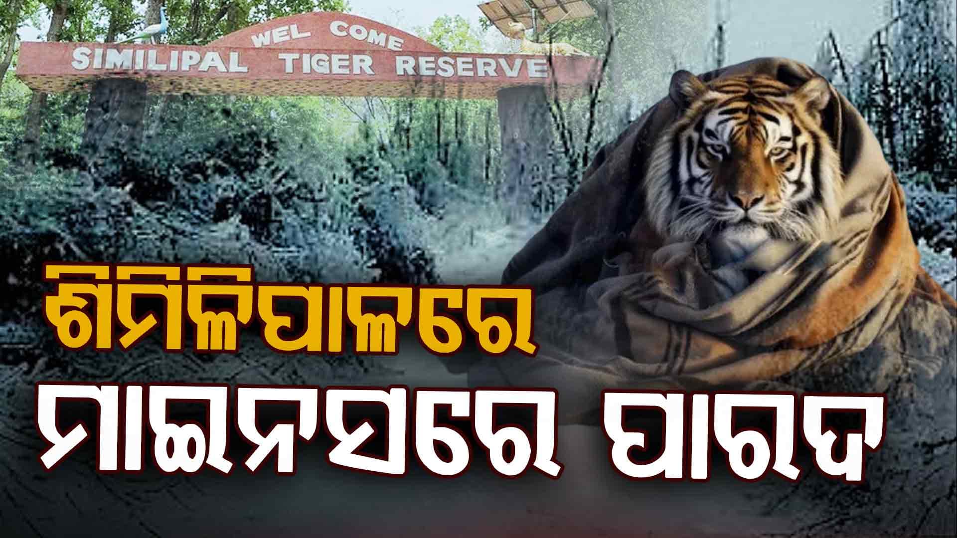 ଜାଡ଼ରେ ଥରୁଛି ଶିମିଳିପାଳ ବିଯୁକ୍ତ ଡିଗ୍ରୀକୁ ଖସିଲା ପାରଦ: ଭୁବନେଶ୍ୱରରେ ପୁଣି ୯ଡ଼ିଗ୍ରୀ ଛୁଇଁଲା