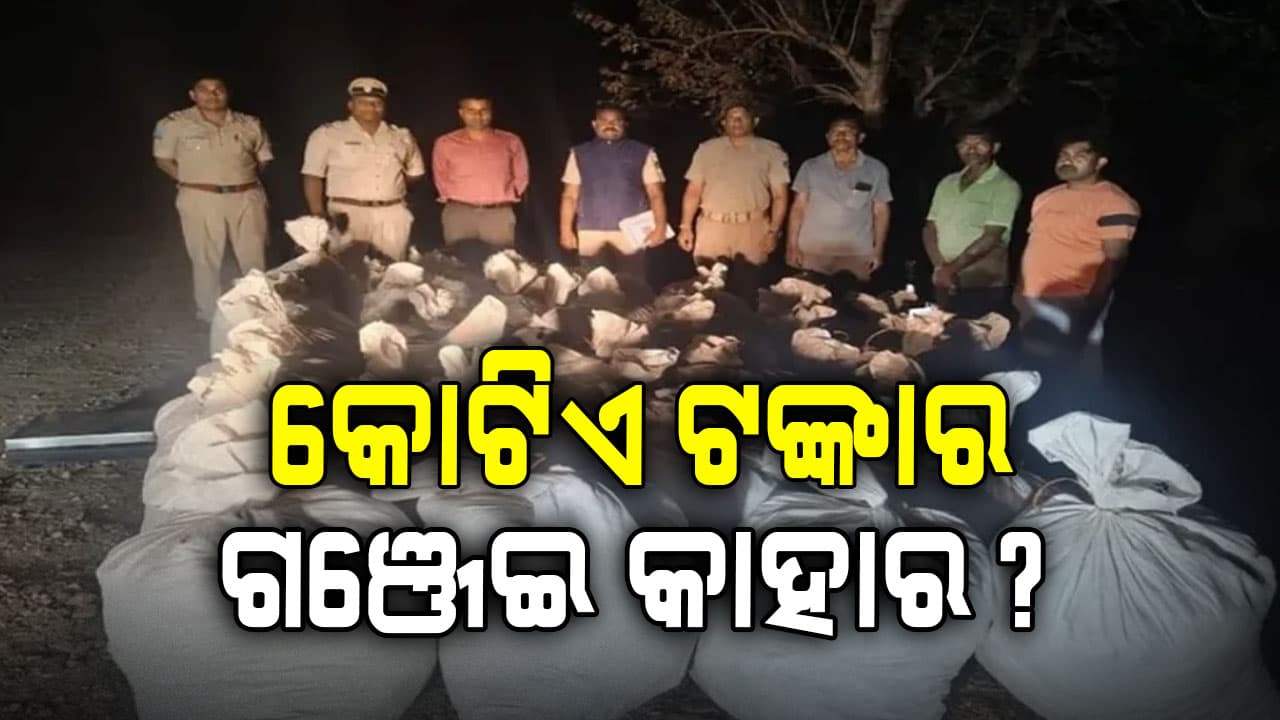 ମାଲକାନଗିରି ପୋଲିସକୁ ବଡ଼ ସଫଳତା,କୋଟିଏ ଟଙ୍କାର ଗଞ୍ଜେଇ ଜବତ, ସାରା ଦେଶରେ ଓଡ଼ିଶାରୁ ସର୍ବାଧିକ ଗଞ୍ଜେଇ ସିଜ୍