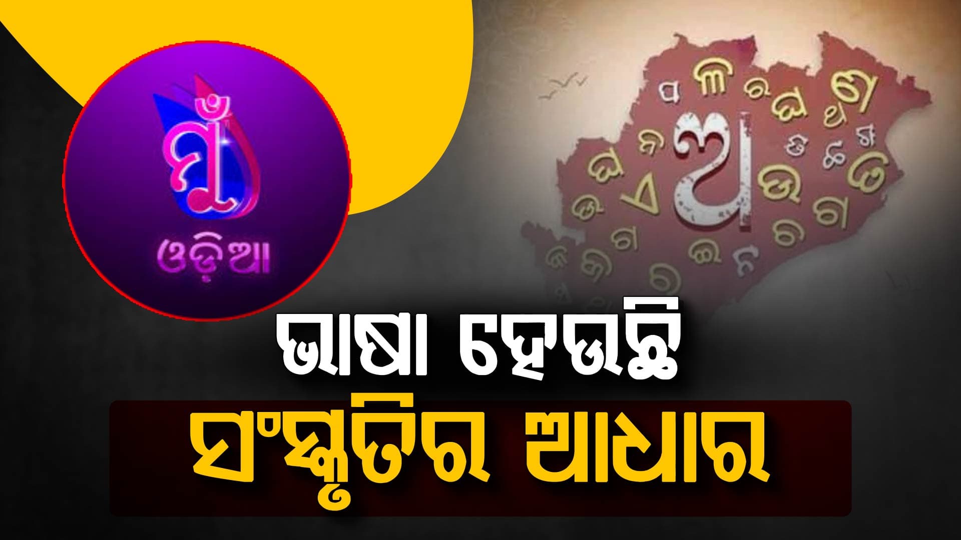 ଅନ୍ତର୍ଜାତୀୟ ମାତୃଭାଷା ଦିବସ: ଭାଷା ବିବିଧତାର ପର୍ବ...