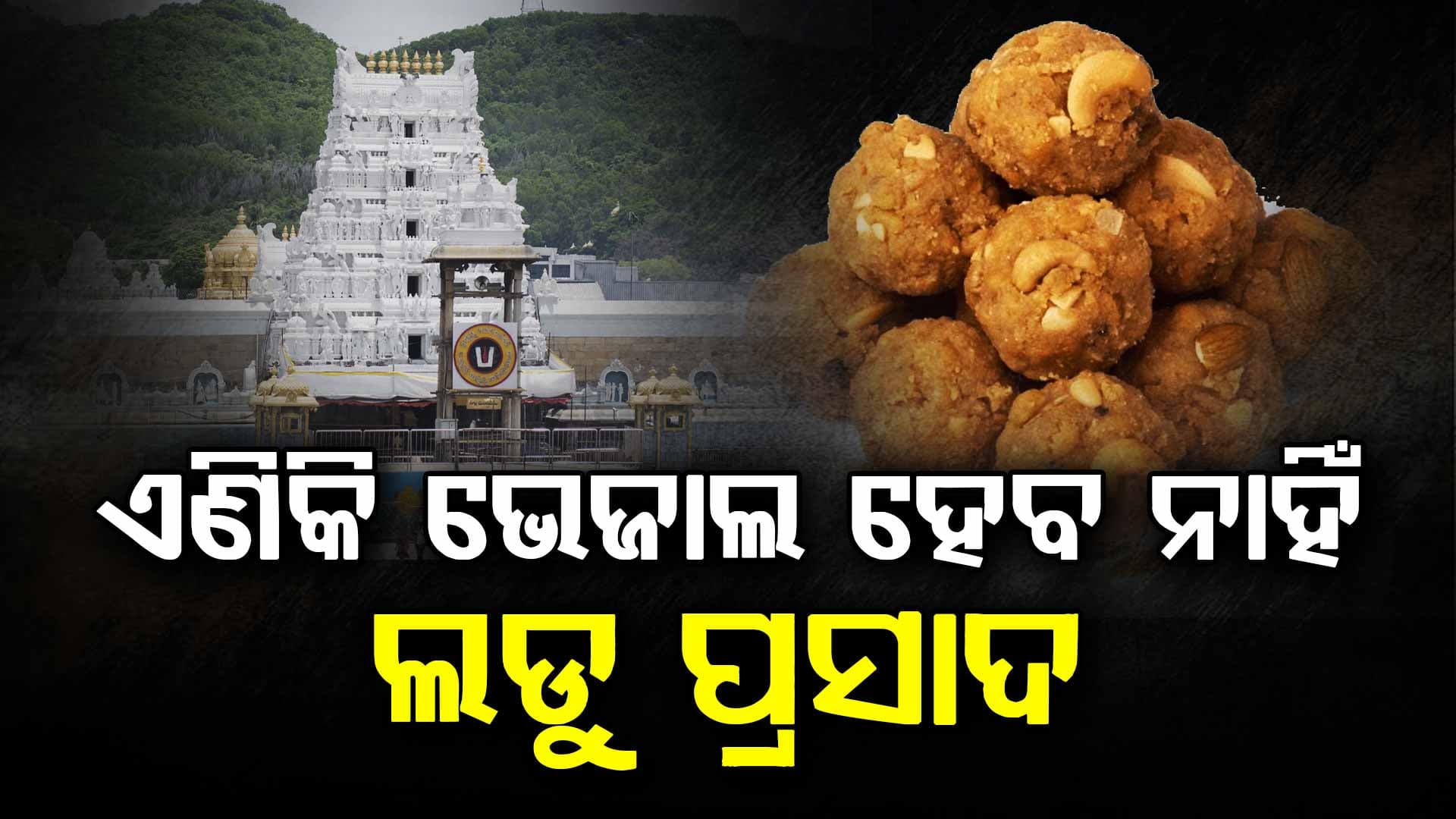 କେତେ ଶୁଦ୍ଧ ତିରୁପତି ଲଡୁ ପ୍ରସାଦ? ଯାଞ୍ଚ ପାଇଁ ଗଠିତ ହେଲା ପ୍ରୟୋଗଶାଳା