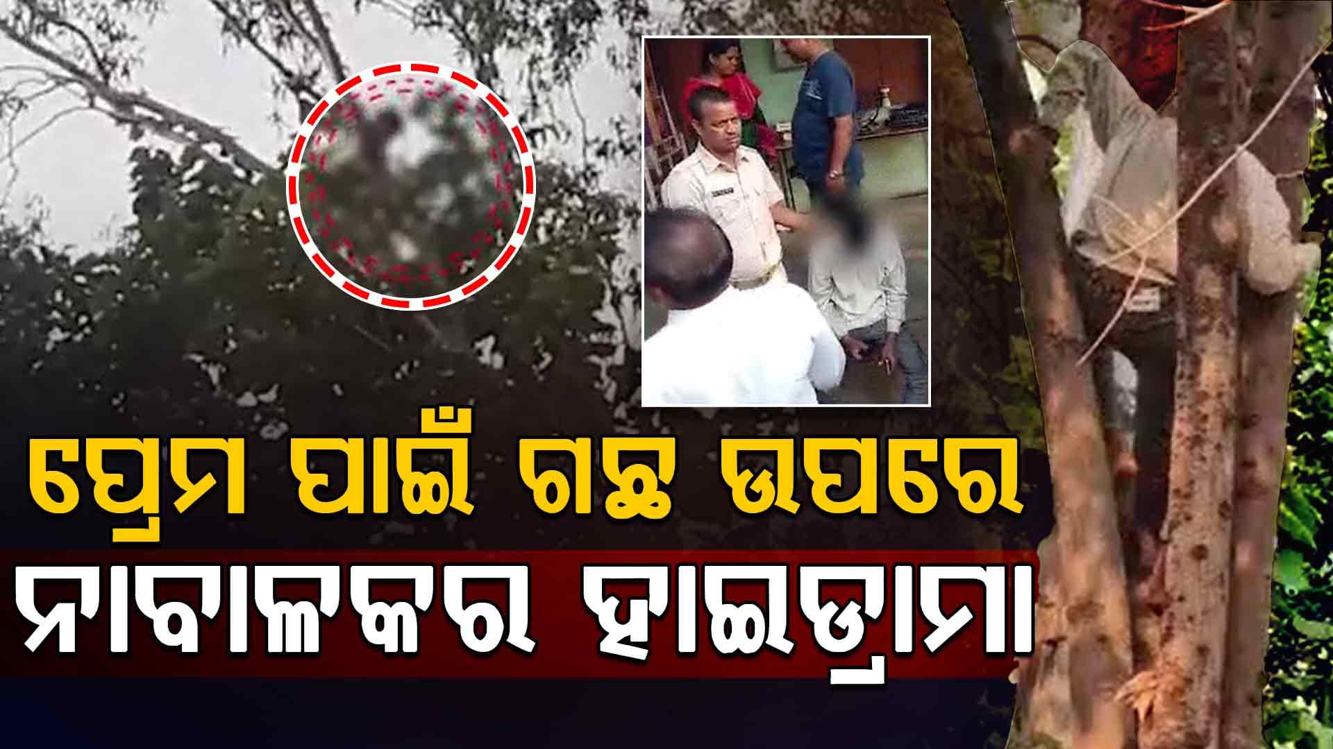 ପ୍ରେମିକାକୁ ନଡାକିଲେ ଆତ୍ମହତ୍ୟା ଧମକ, ୧୦୦ ଫୁଟ୍ ଗଛ ଉପରେ ଚଢି ହଙ୍ଗାମା
