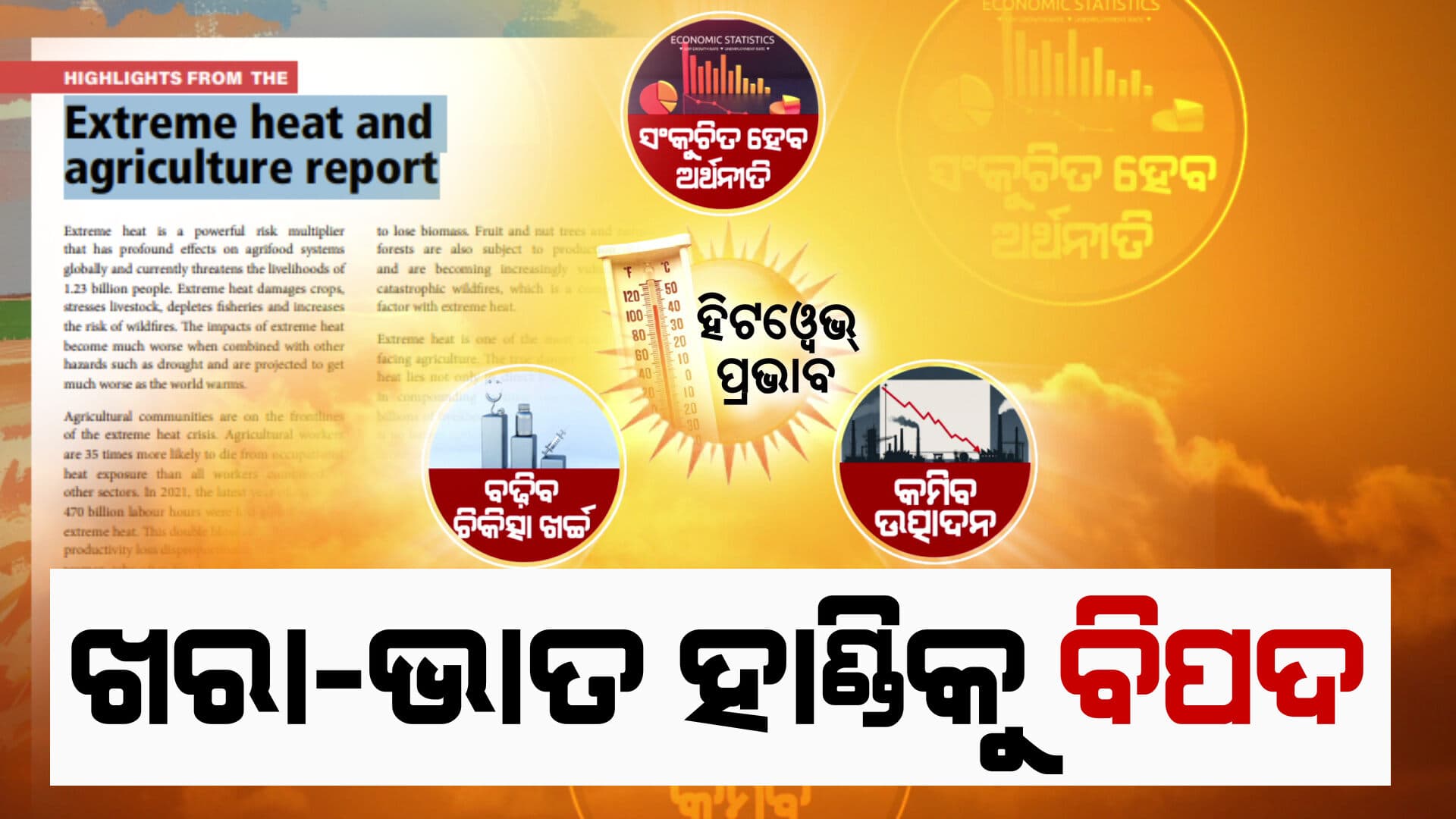 ହିଟୱେଭକୁ ନେଇ WHOର ସାଂଘାତିକ ରିପୋର୍ଟ; ପ୍ରଭାବିତ ହେବ ଧାନ ଉତ୍ପାଦନ