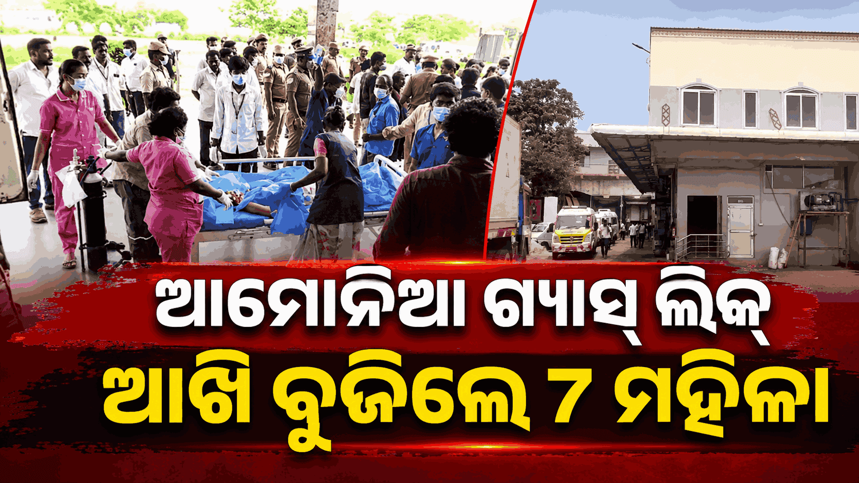 ସି-ଫୁଡ୍ ଫ୍ୟାକ୍ଟ୍ରିରେ ବିଷାକ୍ତ ଗ୍ୟାସ୍ ଲିକ୍; କାରଖାନାରେ ଥିଲେ ୬୫ରୁ ଅଧିକ ଶ୍ରମିକ, ୭ ମୃତ