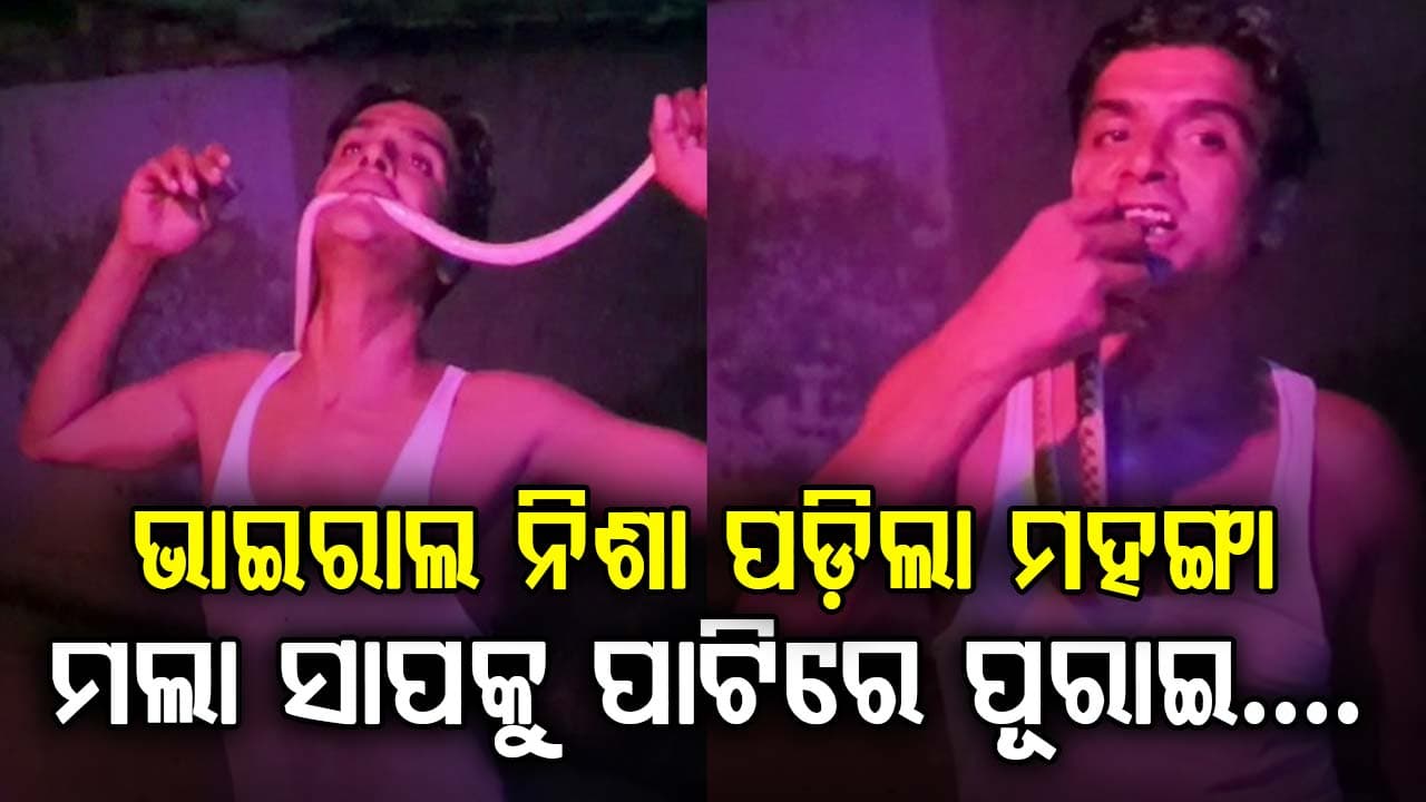 ମହଙ୍ଗା ପଡ଼ିଲା ରିଲ୍ସ ନିଶା…ମଲା ସାପକୁ ପାଟିରେ ପକାଇ ହସ୍ପିଟାଲରେ ଭର୍ତ୍ତି ହେଲେ ଯୁବକ…ଭାଇରାଲ ହେବାକୁ କିଛି ବି…