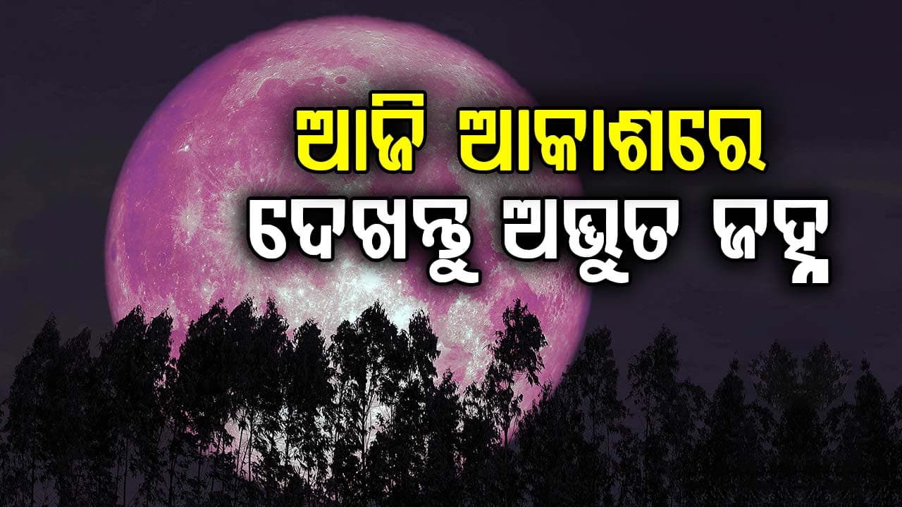ଆଜି ରାତିରେ ଦେଖାଯିବ 'ଷ୍ଟ୍ରବେରୀ ମୁନ୍' ଟେଲିସ୍କୋପ ବିନା ଆକାଶର ସବୁଠାରୁ ସୁନ୍ଦର ଦୃଶ୍ୟ ଦେଖନ୍ତୁ...