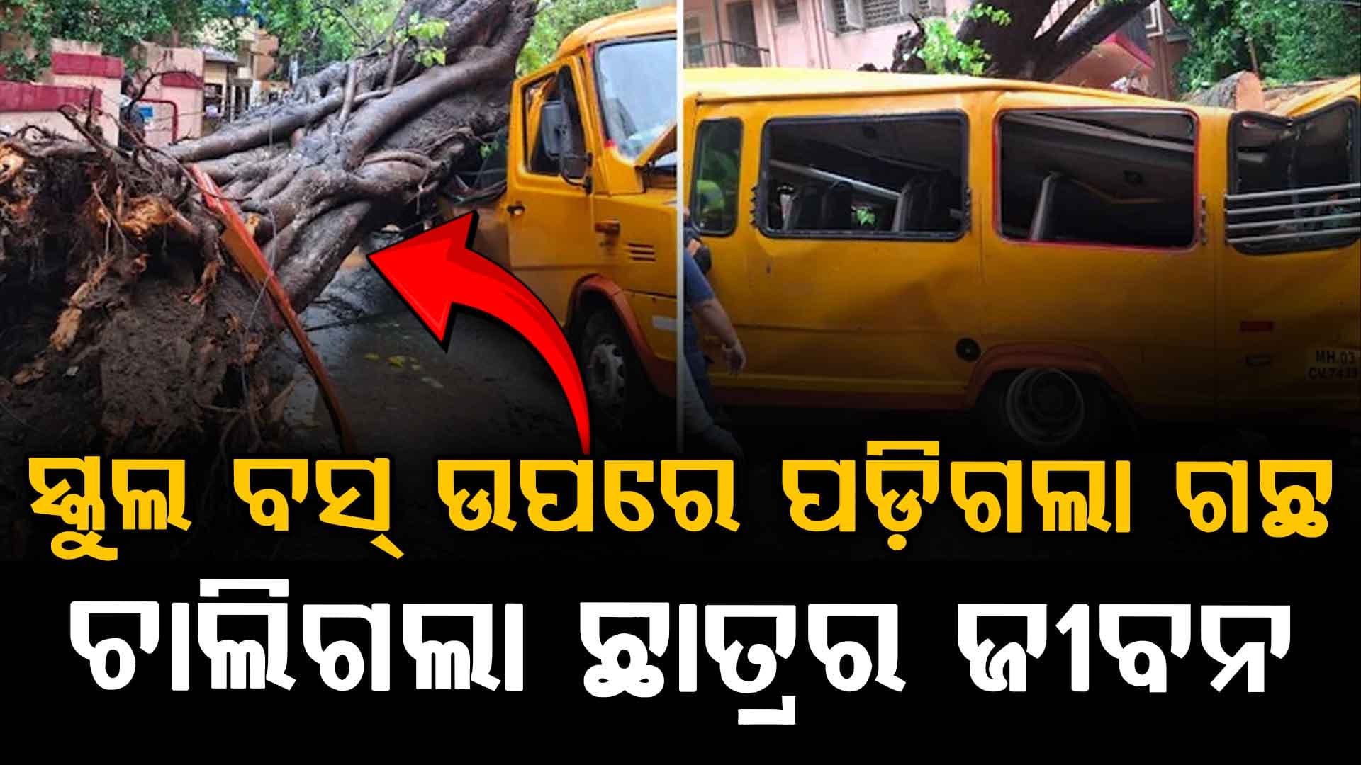 ସ୍କୁଲ ବସ୍ ଉପରେ ଗଛ ପଡ଼ିଗଲା: ଜଣେ ଛାତ୍ର ମୃତ, ୧୦ ଆହତ