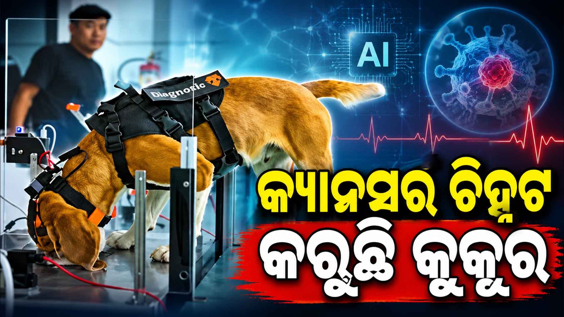 ମଣିଷର ନିଶ୍ଵାସରୁ କୁକୁର ଜାଣି ପାରୁଛି ହୋଇଛି କି କ୍ୟାନସର୍