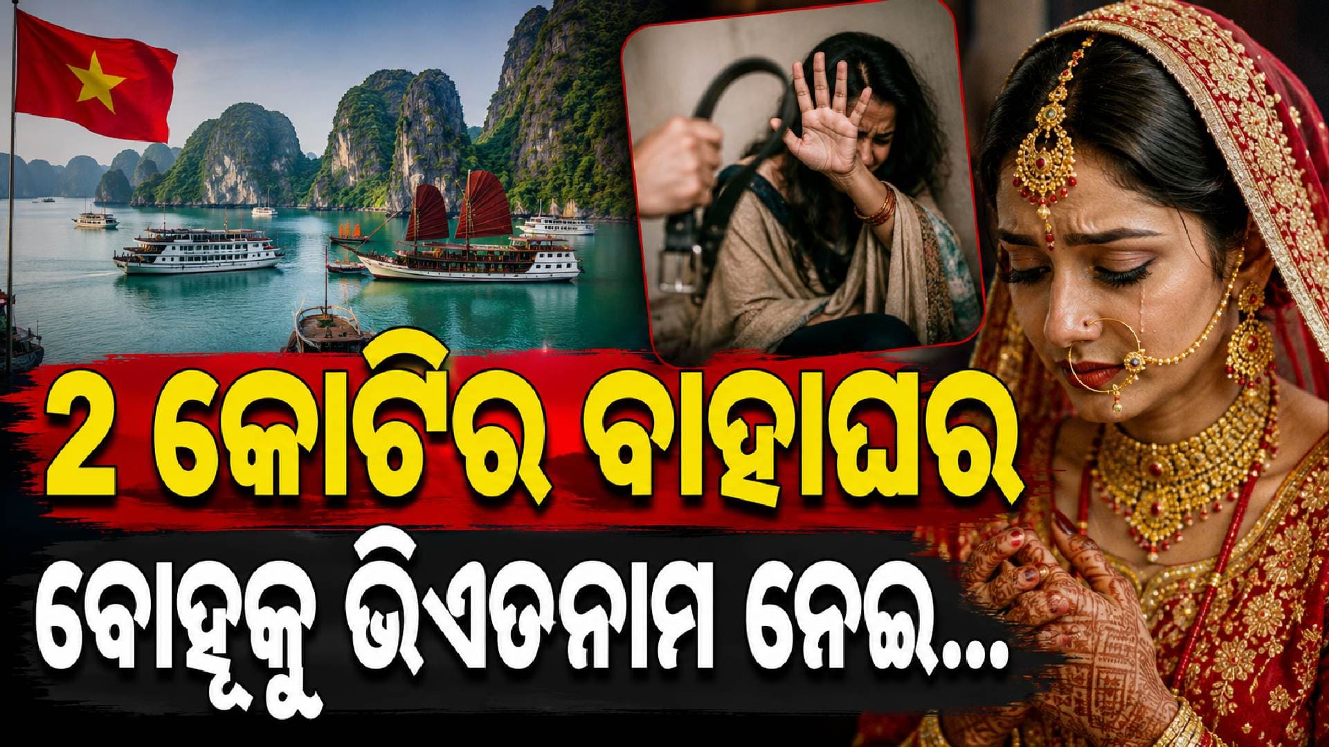 ୨କୋଟିର ବିବାହରେ ବି ମନଶାନ୍ତି ହେଲାନି; ସଲୋନିକୁ ଭିଏତନାମ ନେଇ...