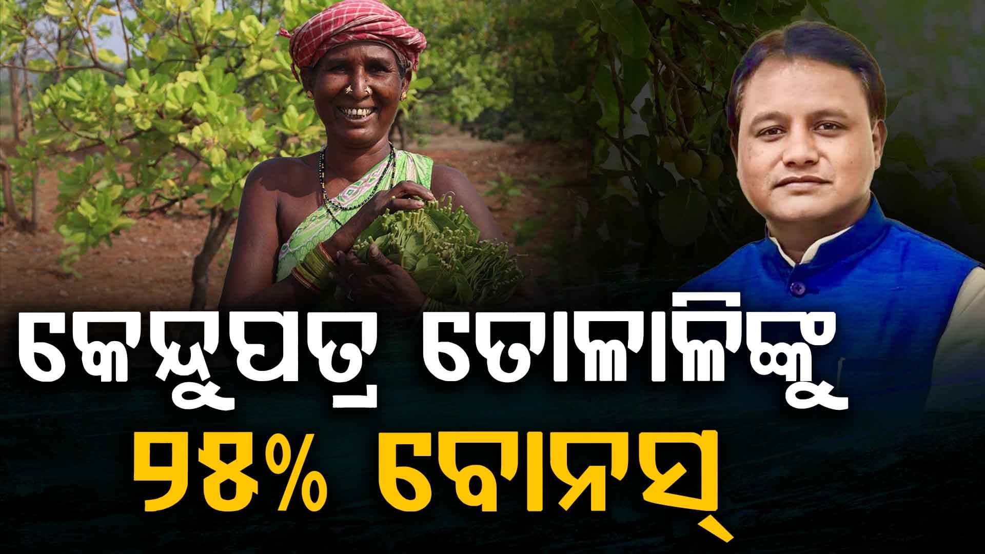 କେନ୍ଦୁପତ୍ର ତୋଳାଳି, ବନ୍ଧାଳିଙ୍କ ପାଇଁ ମୁଖ୍ୟମନ୍ତ୍ରୀଙ୍କ ବଡ଼ ନିଷ୍ପତ୍ତି; ବଢ଼ିଲା ପ୍ରୋତ୍ସାହନ ରାଶି