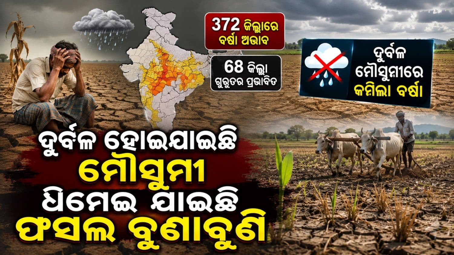 ମୌସୁମୀ ଭାଙ୍ଗିଲା ଚାଷୀଙ୍କ ଆଶା; ୩୭୨ ଜିଲ୍ଲାରେ ହୋଇଛି ଦୁର୍ବଳ ବର୍ଷା