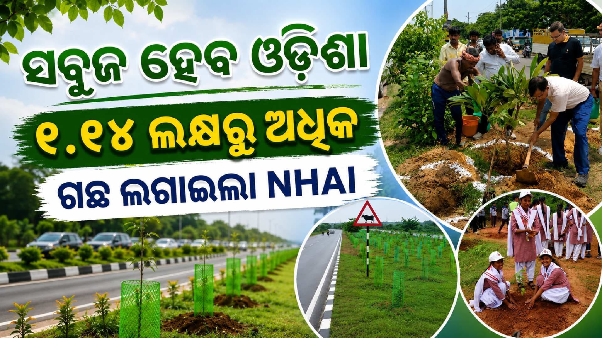 ବିକାଶ ସହ ପ୍ରକୃତି ସୁରକ୍ଷା ଲକ୍ଷ୍ୟ; ଓଡ଼ିଶାରେ ୧.୧୪ ଲକ୍ଷରୁ ଅଧିକ ଚାରାରୋପଣ କଲା NHAI