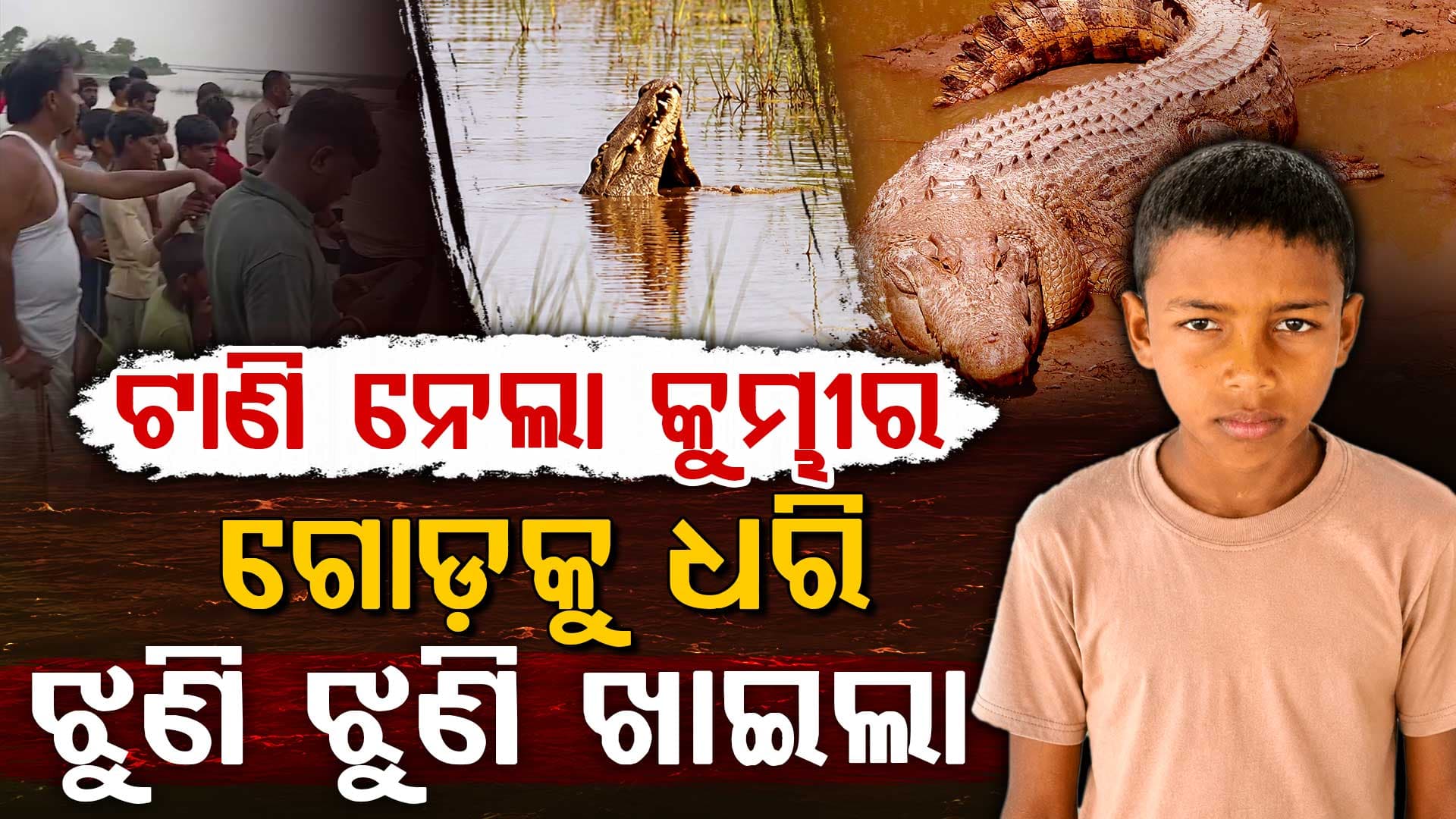 ନଦୀରେ ଗୋଡ଼କୁ ଧରି ଟାଣି ନେଇଗଲା କୁମ୍ଭୀର... ଯୁବକଙ୍କ ମୃତ୍ୟୁ