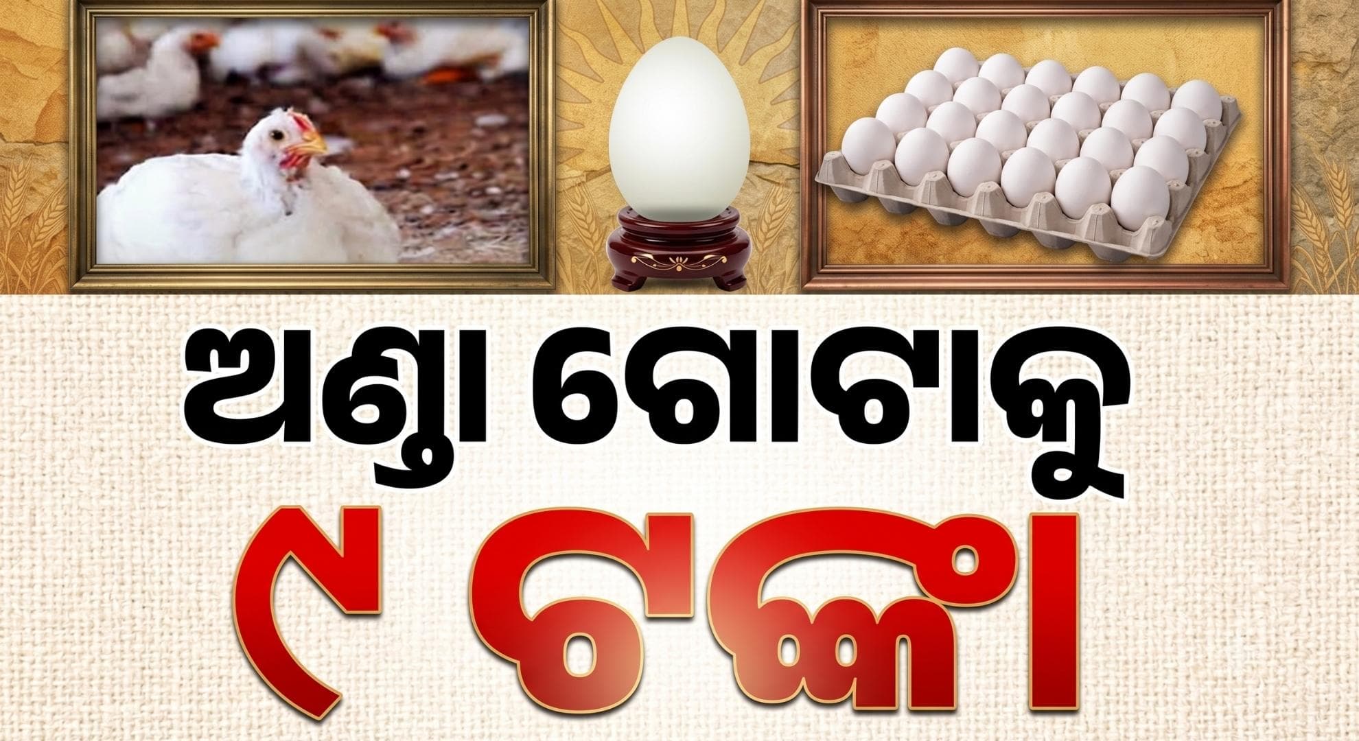 ଆକାଶଛୁଆଁ ହେଲାଣି ଅଣ୍ଡା ଦର; କାହିଁକି ବଢ଼ୁଛି ମୂଲ୍ୟ ?
